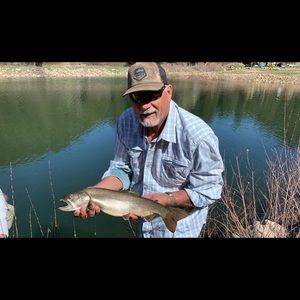 Meet your Posher, Philip